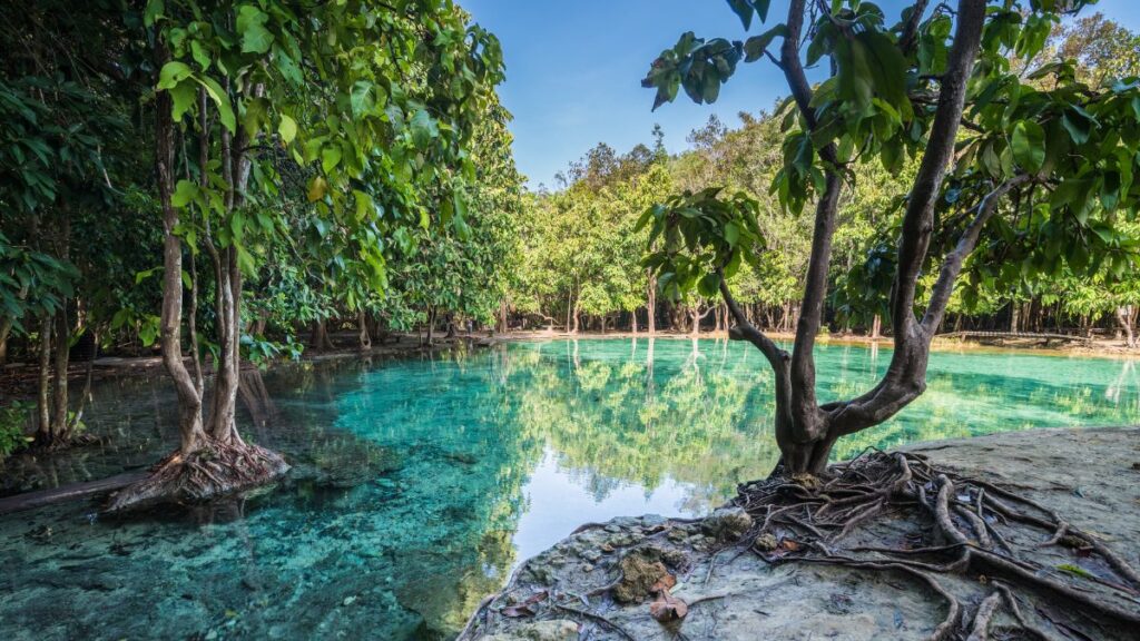 Serene turquoise waters at the Emarald Pool in Khao Nor Juji Natural Park, Khlong Thom, Krabi, Thailand